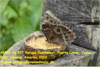 44192 26 027 Veruga Rainforest, Puerto Limon, Costa Rica, Central-Amerika 2022.jpg